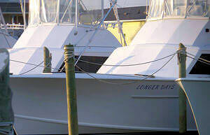 Longer Days runs charters out of Teach's Lair Marina.