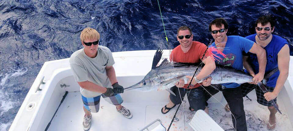 Hatteras, NC White Marlin released on offshore sportfishing charter. Hatteras, NC White Marlin released on offshore sportfishing charter.